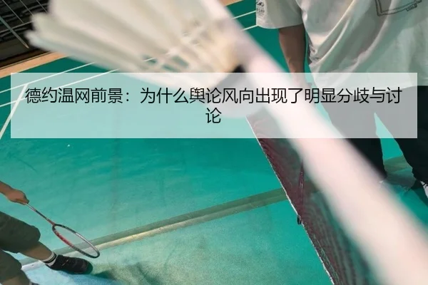 de-yue-wen-wang-qian-jing-wei-shen-me-yu-lun-feng-xiang-chu-xian-le-ming-xian-fen-qi-yu-tao-lun-2-925.jpg