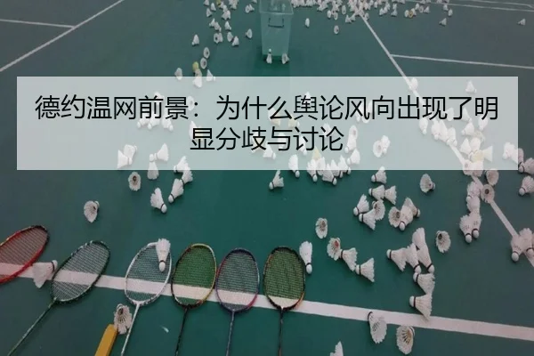 德约温网前景：为什么舆论风向出现了明显分歧与讨论